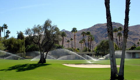 Desert Springs
